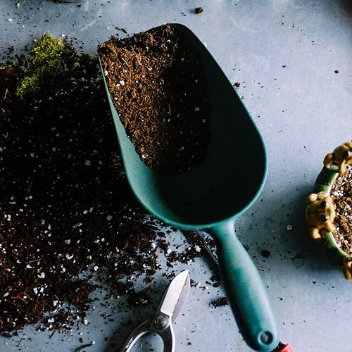 Dirts: Fill Dirt (per yard)