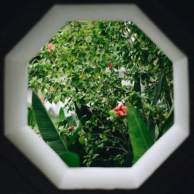 Home & Garden