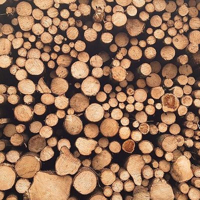 Lumber