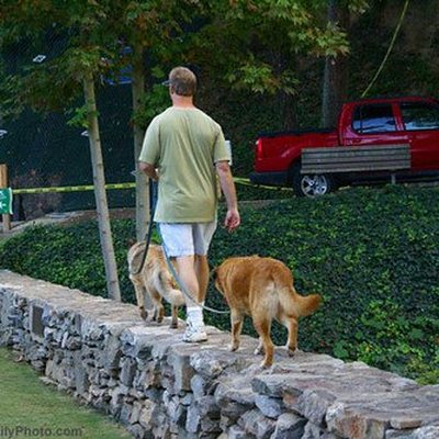 Pet Sitting