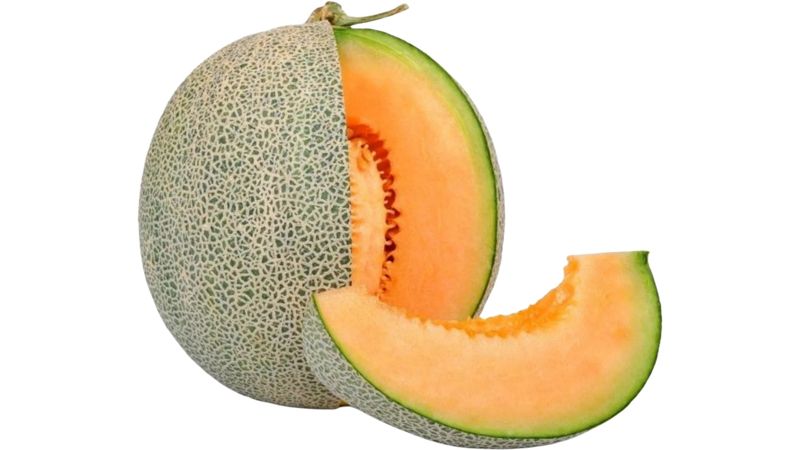 Melon