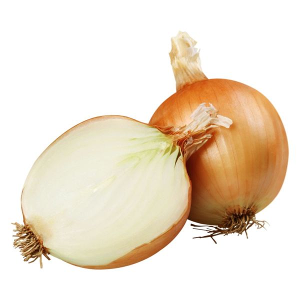 Onion