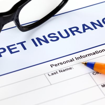 Pet Insurance