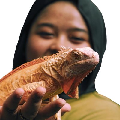 Reptiles