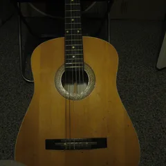 Musician'S
