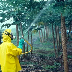 Pesticides