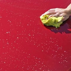 Vehicle Wash