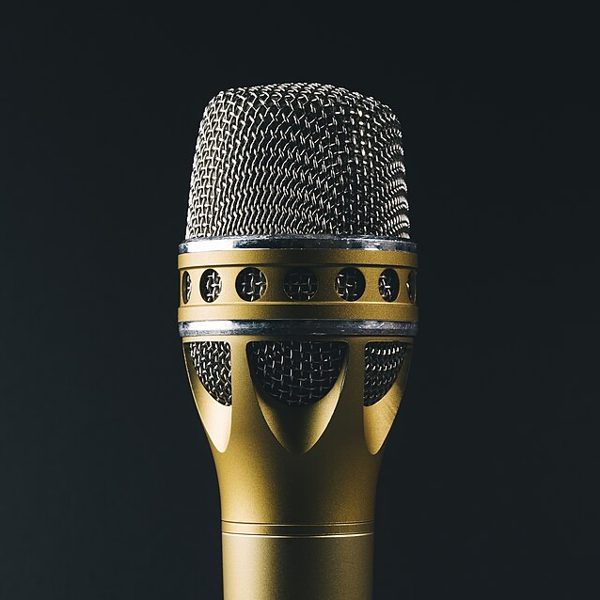 Studio Vocal Microphone