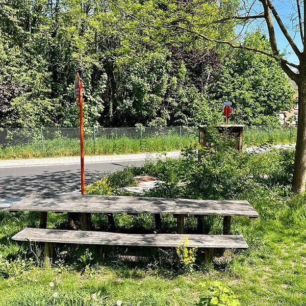 Wooden Picnic Table