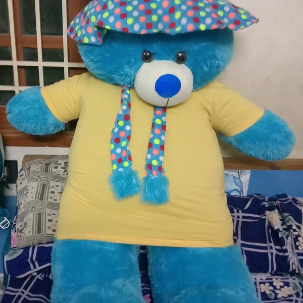 Big Cuddly Teddy Bear