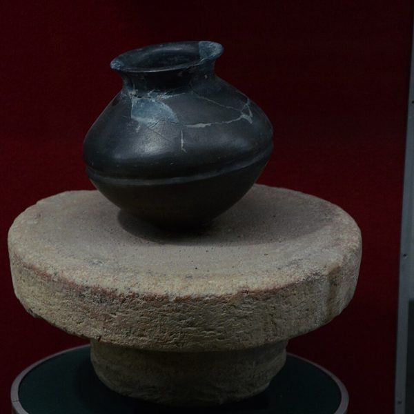 Clay Pottery Starter