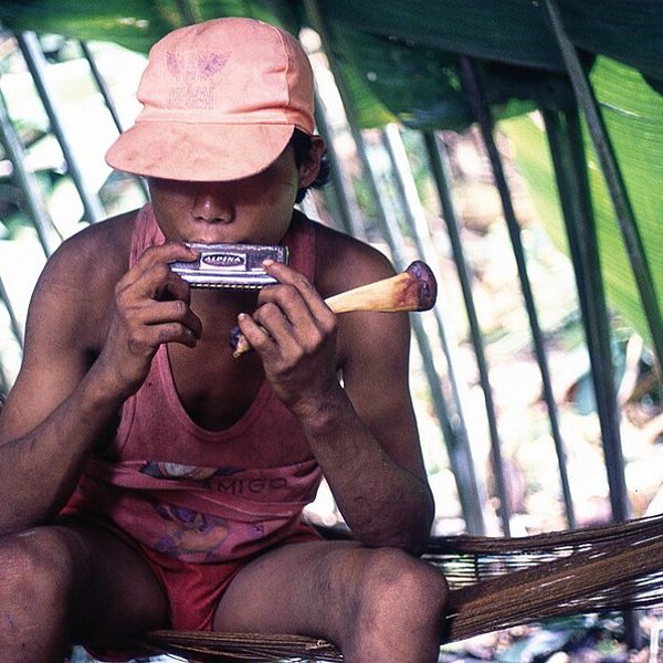 Diatonic Harmonica